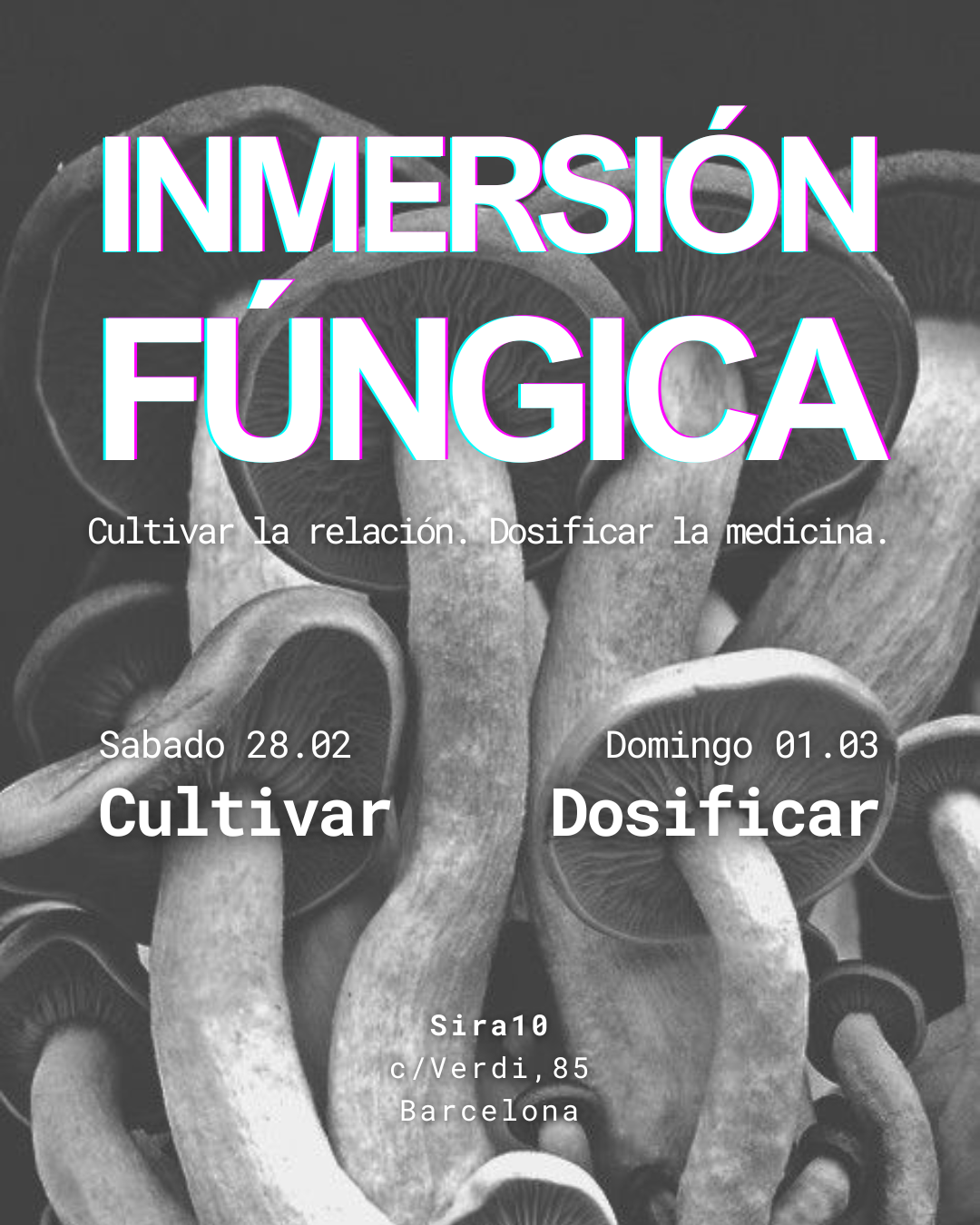Inmersión Fúngica · 2 días intensivos