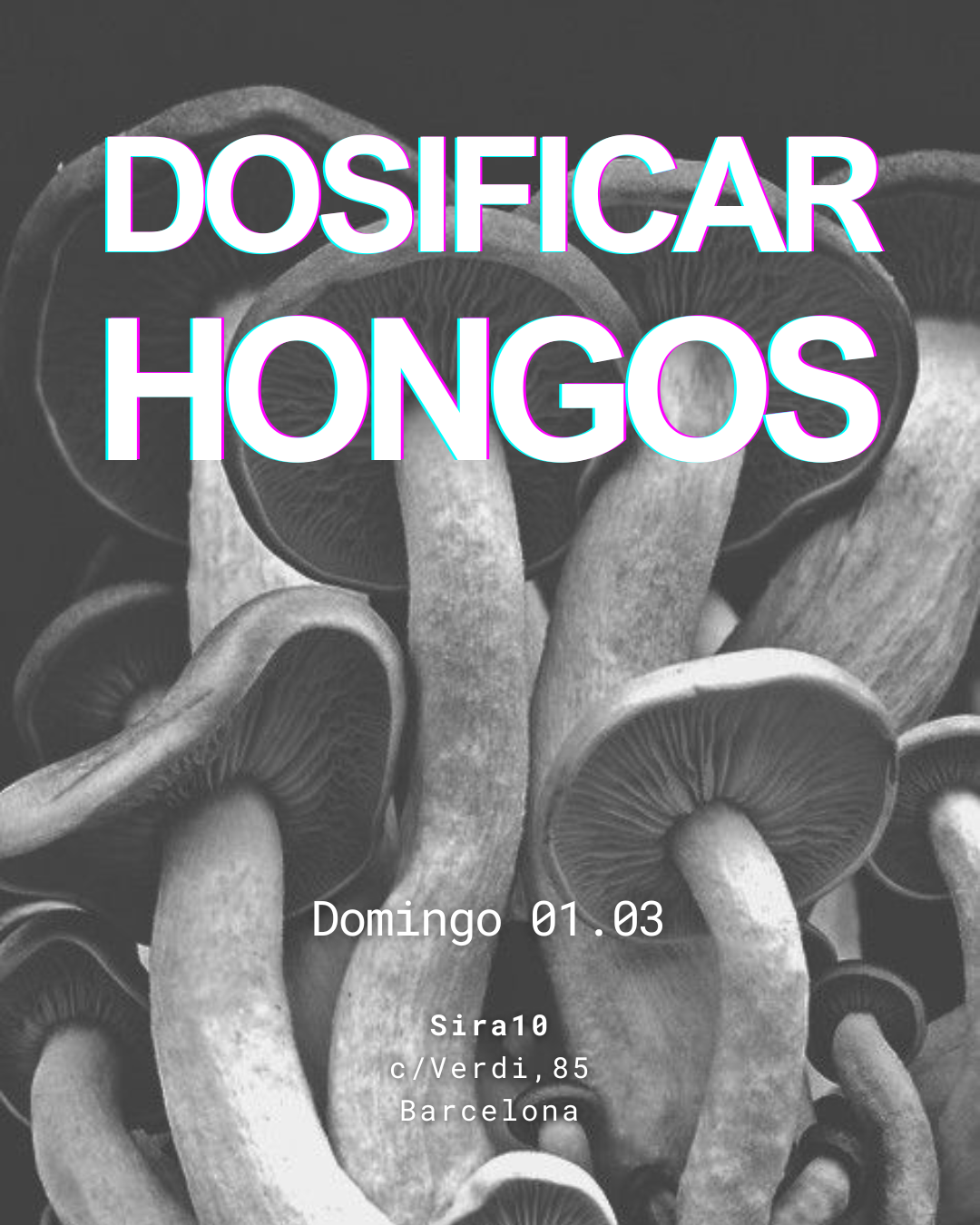 Dosificación y elaboración de formula con hongos